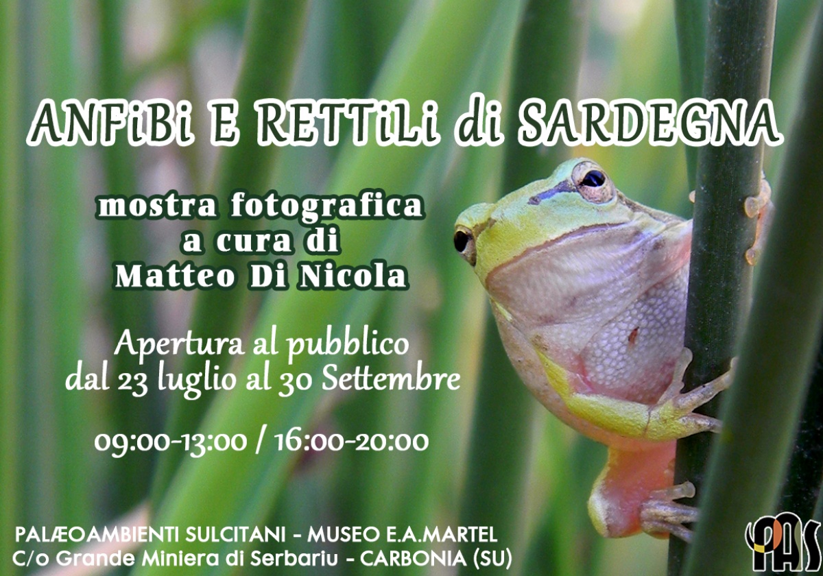 Amphibians and reptiles of Sardinia